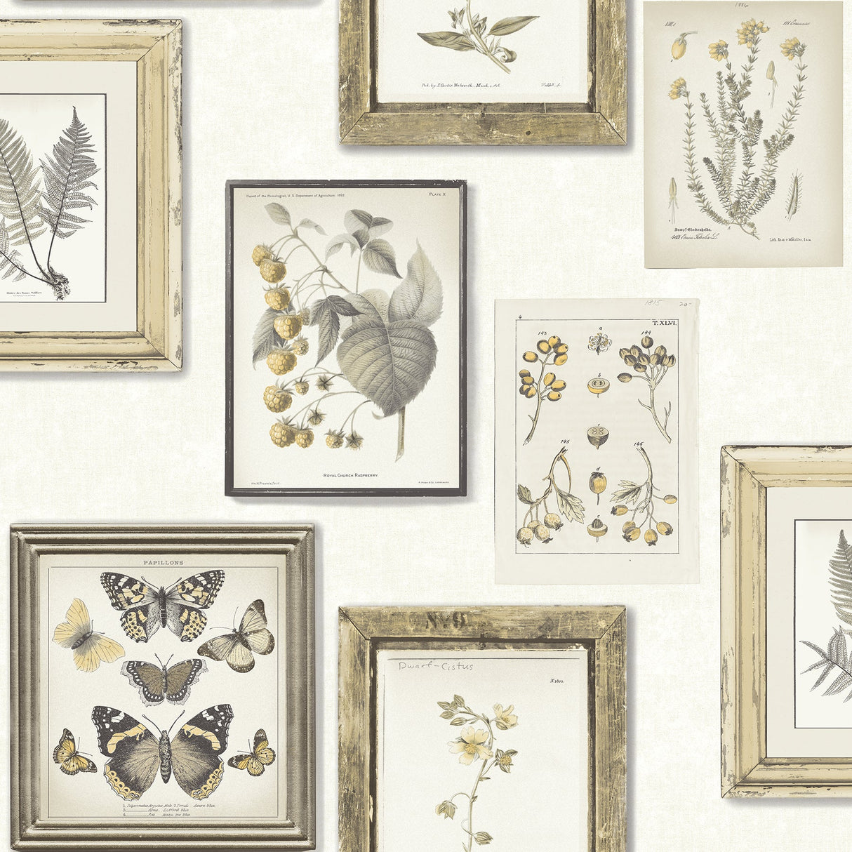 Chesapeake 3115-12503 Sibylla Light Yellow Gallery Wallpaper
