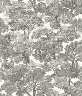 Chesapeake 3115-12542 Spinney Black Toile Wallpaper