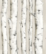 Chesapeake 3118-12601 Pioneer Off-White Birch Tree Wallpaper