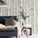 Chesapeake 3118-12601 Pioneer Off-White Birch Tree Wallpaper