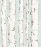 Chesapeake 3118-12602 Pioneer Light Blue Birch Tree Wallpaper