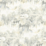 Chesapeake 3118-12613 Tamarack Grey Forest Wallpaper