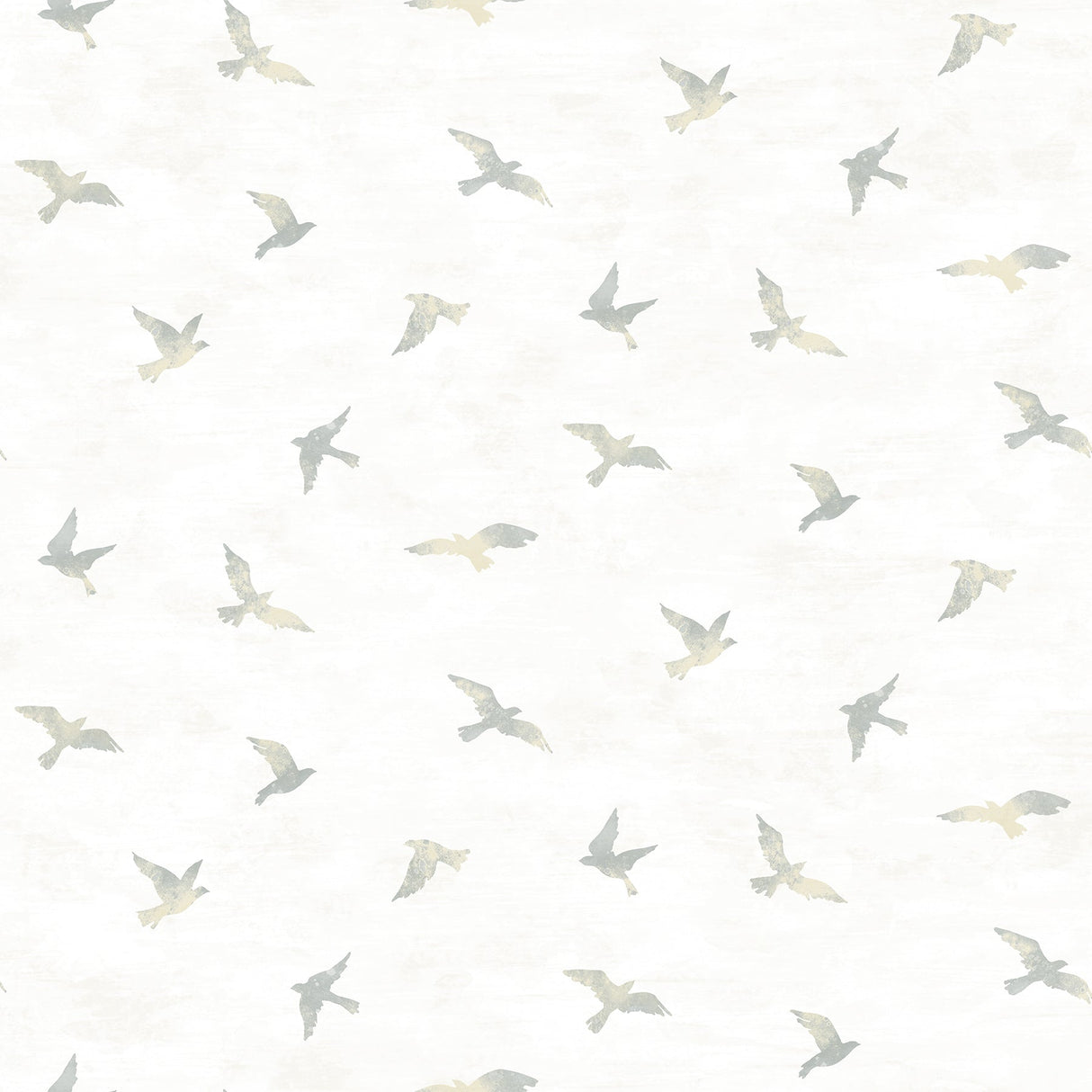 Chesapeake 3118-12623 Soar Grey Bird Wallpaper