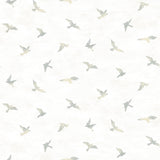 Chesapeake 3118-12623 Soar Grey Bird Wallpaper