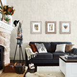 Chesapeake 3118-12683 Drifter Light Grey Wood Wallpaper