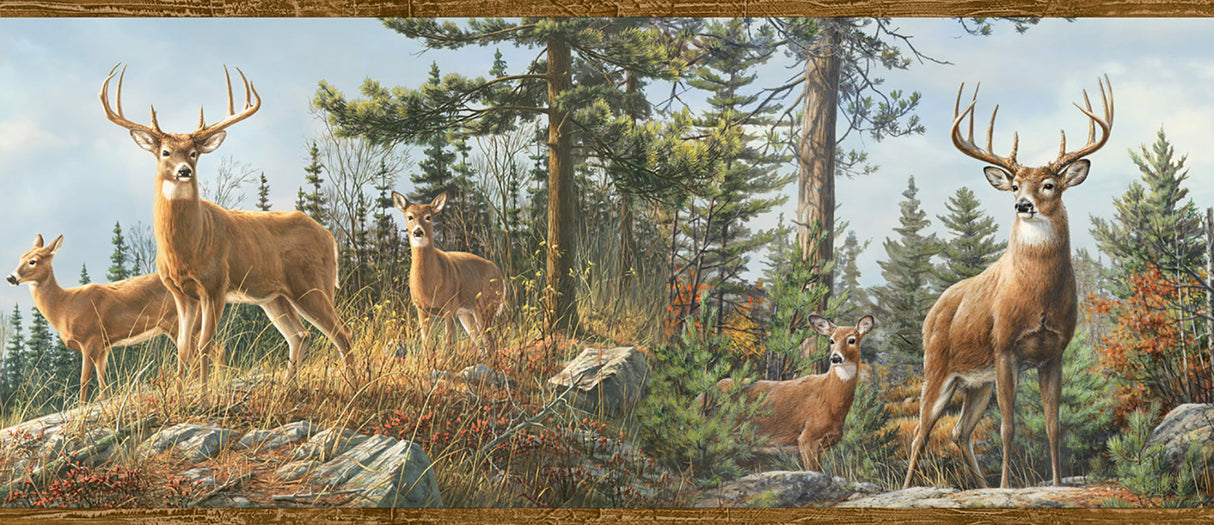 Chesapeake 3118-48463B Whitetail Crest Multicolor Forest Border
