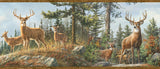 Chesapeake 3118-48463B Whitetail Crest Multicolor Forest Border