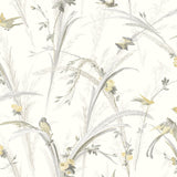 Chesapeake 3119-193210 Meadowlark Yellow Botanical Wallpaper