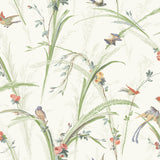 Chesapeake 3119-19321 Meadowlark Light Green Botanical Wallpaper