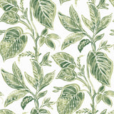 Chesapeake 3120-13621 Mangrove Green Botanical Wallpaper