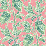 Chesapeake 3120-13624 Mangrove Pink Botanical Wallpaper