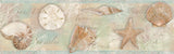 Chesapeake 3120-46051B Quinten Brown Shells Border