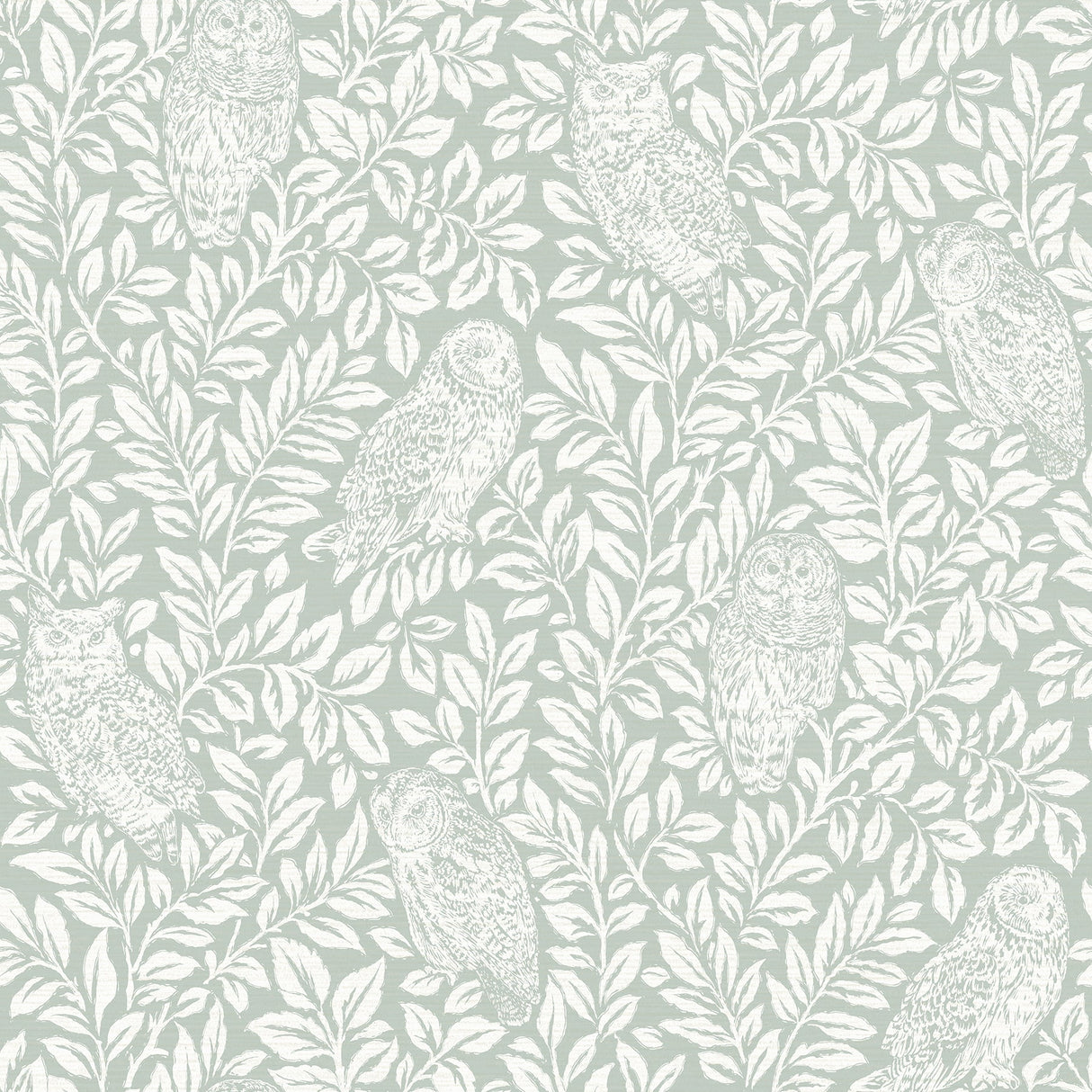Chesapeake 3123-12414 Parliament Seafoam Owl Wallpaper