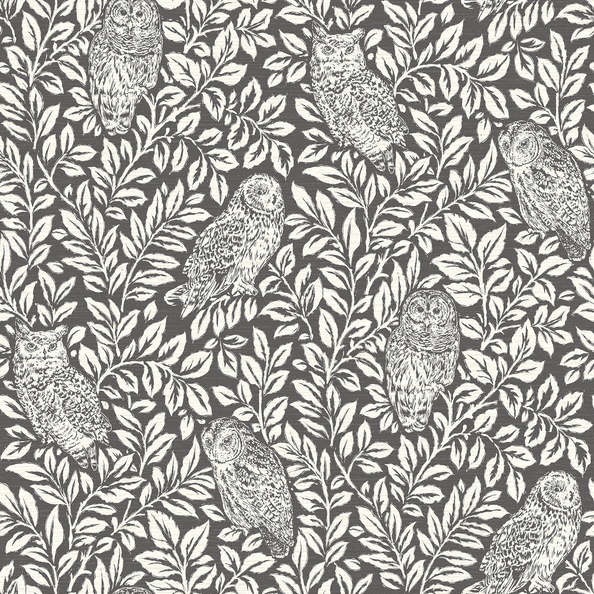 Chesapeake 3123-12415 Parliament Charcoal Owl Wallpaper