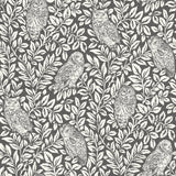 Chesapeake 3123-12415 Parliament Charcoal Owl Wallpaper