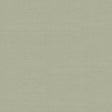Schumacher 3123011 INDOCHINE in STONE Fabric - PERFECT BASIC