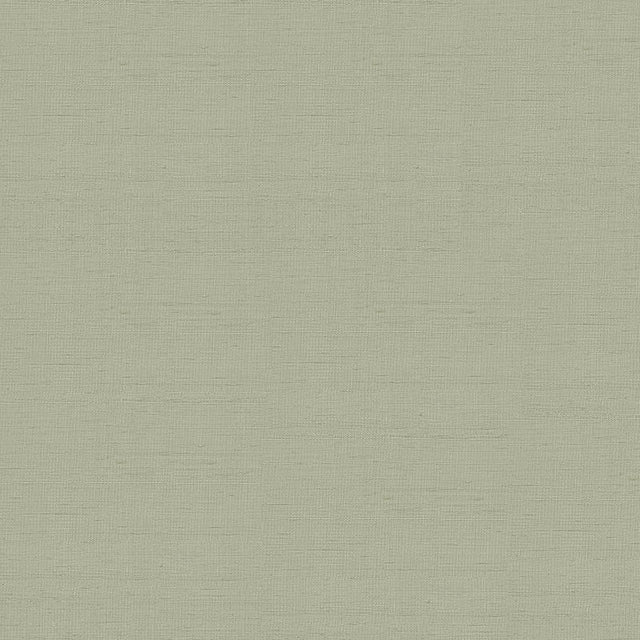 Schumacher 3123011 INDOCHINE in STONE Fabric - PERFECT BASIC