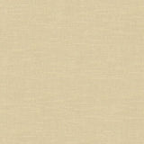 KRAVET DESIGN 31326.1.0 VENETIAN BEACH Fabric - Eade's Wallpaper