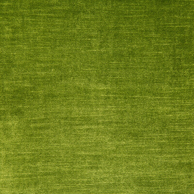 KRAVET DESIGN 31326.323.0 VENETIAN GRASS Fabric - Eade's Wallpaper