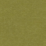KRAVET DESIGN 31326.3.0 VENETIAN MOSS Fabric - Eade's Wallpaper