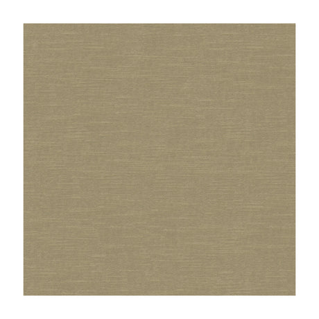 KRAVET DESIGN 31326.616.0 VENETIAN BIRCH Fabric - Eade's Wallpaper