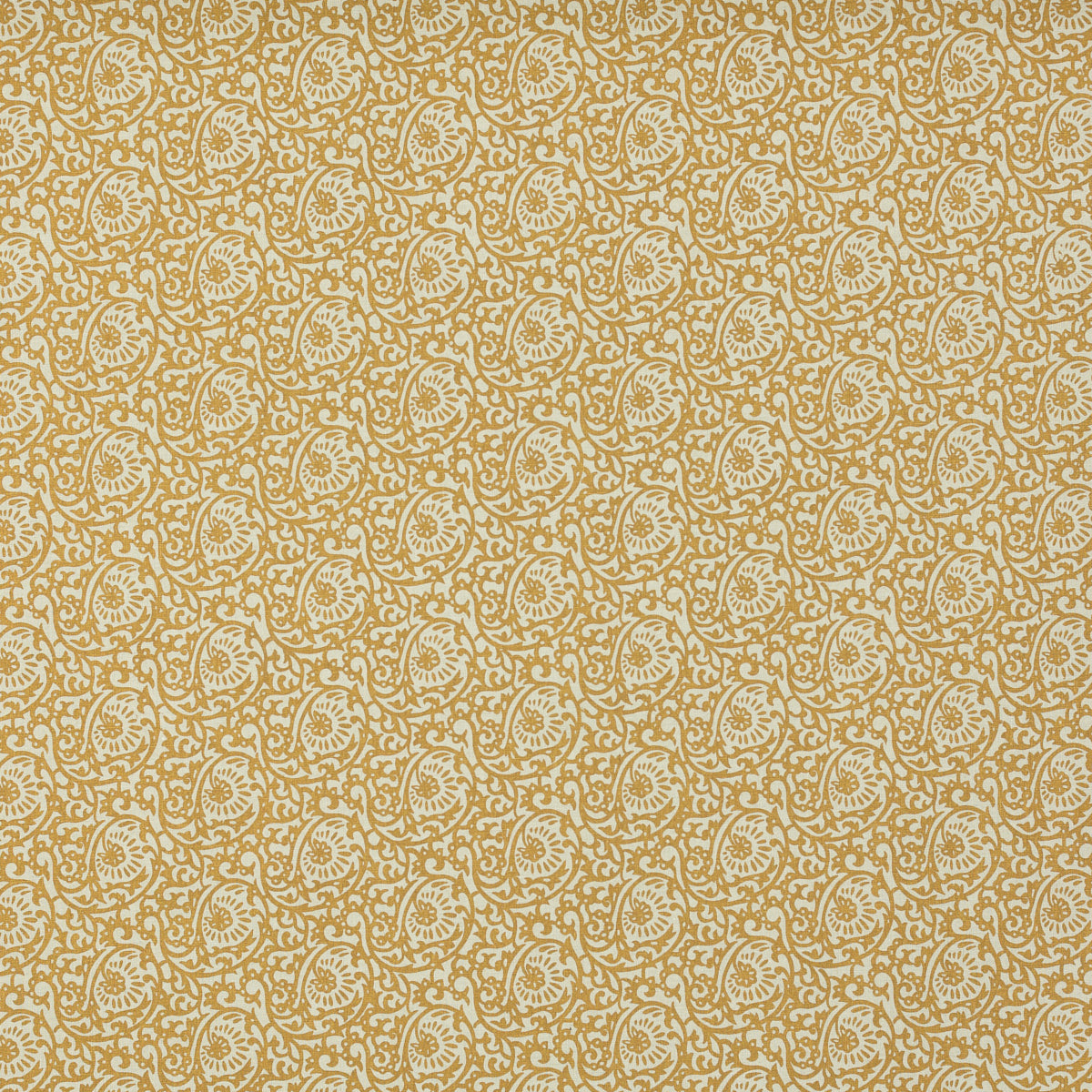 Schumacher 313N66 SCROLL PAISLEY in ANTIGUA Fabric - RAOUL T