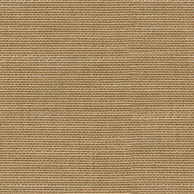 KRAVET COUTURE 31460.4.0 SINO CLOTH KUMQUAT Fabric - Eade's Wallpaper