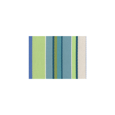 KRAVET COUTURE 31504.135.0 CUMMERBUND TROPICALE Fabric - Eade's Wallpaper