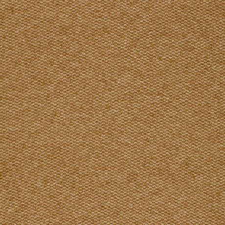 Eade’s VICUNA