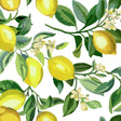 RoomMates RMK11655WP Lemon Zest Peel and Stick Wallpaper - Eade's Wallpaper