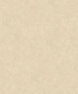 Eade's TE3228223-sample Beige