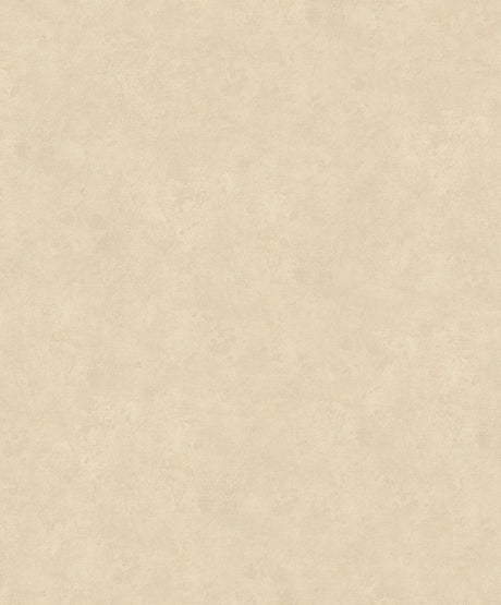 Eade's TE3228223-sample Beige