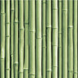 RoomMates RMK11449WP Bamboo Peel and Stick Wallpaper - Eade's Wallpaper