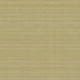 KRAVET BASICS 32497.3.0 CAMPANIA KIWI Fabric - Eade's Wallpaper