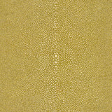 KRAVET DESIGN 32591.3.0 KRAVET DESIGN 32591-3 Fabric - Eade's Wallpaper