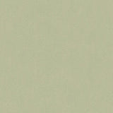 KRAVET BASICS 32642.11.0 BROADMOOR SILVER Fabric - Eade's Wallpaper