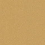 KRAVET BASICS 32642.416.0 BROADMOOR PEBBLE Fabric - Eade's Wallpaper