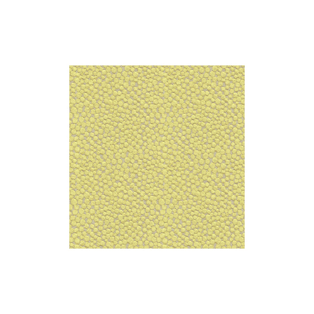 KRAVET COUTURE 32972.323.0 POLKA DOT PLUSH WASABI Fabric - Eade's Wallpaper