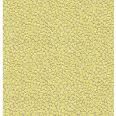 KRAVET COUTURE 32972.323.0 POLKA DOT PLUSH WASABI Fabric - Eade's Wallpaper