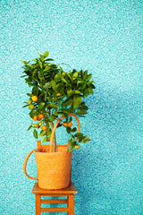Eijffinger 330212 Majorca Aqua Vivacious Floral Relief Wallpaper