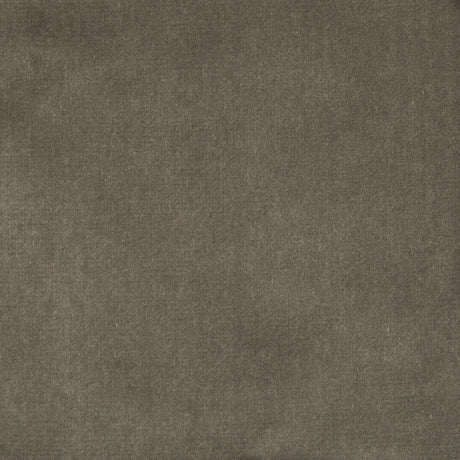 KRAVET COUTURE 33062.11.0 VELVET TREAT GREY Fabric - Eade's Wallpaper