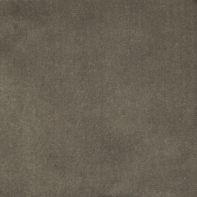 KRAVET COUTURE 33062.11.0 VELVET TREAT GREY Fabric - Eade's Wallpaper