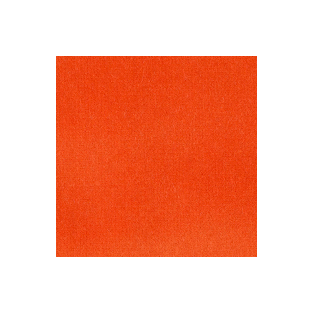 KRAVET COUTURE 33062.12.0 VELVET TREAT ORANGE Fabric - Eade's Wallpaper