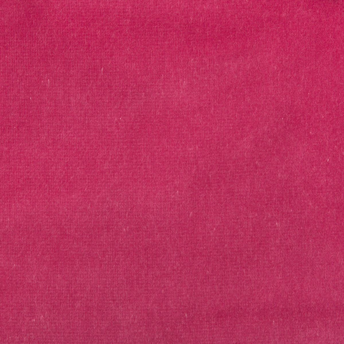KRAVET COUTURE 33062.97.0 VELVET TREAT HOT PINK Fabric - Eade's Wallpaper