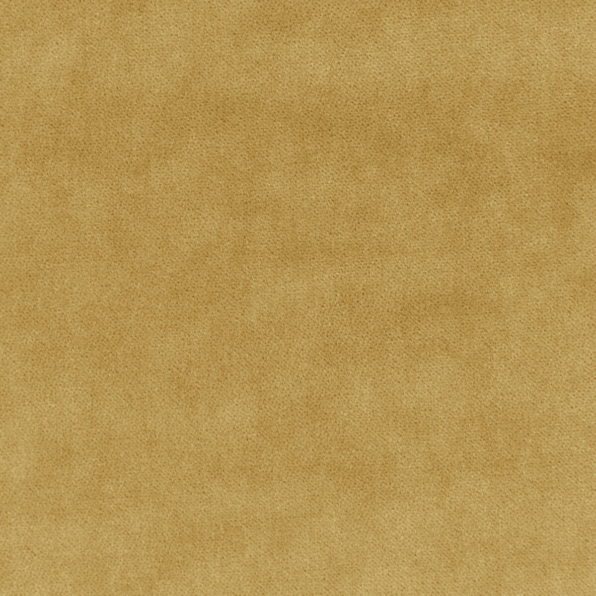 KRAVET BASICS 33299.4.0 KRAVET BASICS 33299-4 Fabric - Eade's Wallpaper