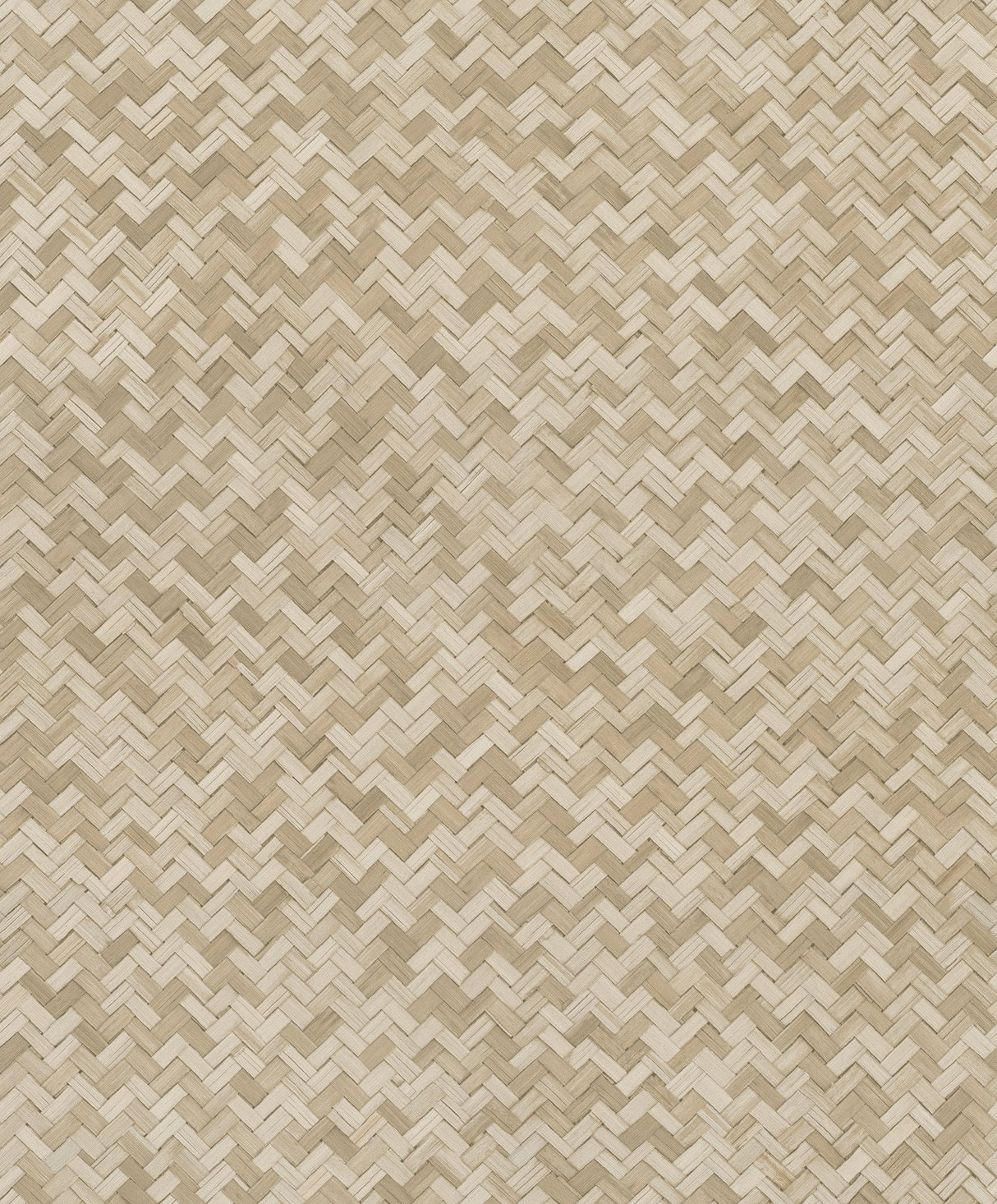 Eade's EN3330914-sample Beige