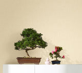 Eade's EN3332714-sample Beige