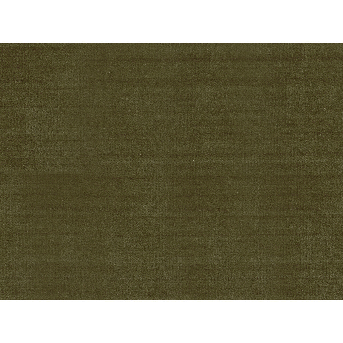 KRAVET COUTURE 33438.481.0 YORK VELVET OLIVE Fabric - Eade's Wallpaper