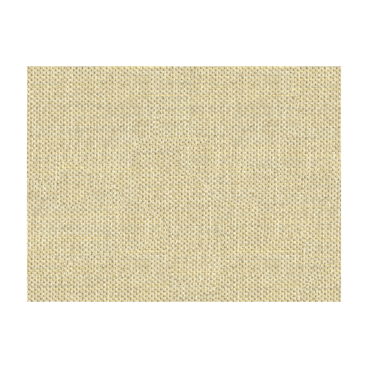 KRAVET COUTURE 33443.411.0 DO THE HUSTLE PLATINUM Fabric - Eade's Wallpaper