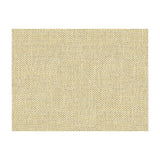 KRAVET COUTURE 33443.411.0 DO THE HUSTLE PLATINUM Fabric - Eade's Wallpaper